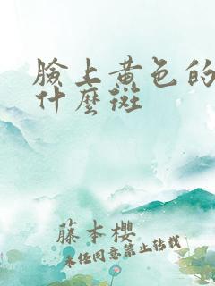 脸上黄色的斑是什么斑