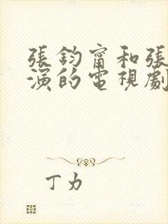 张钧甯和张翰主演的电视剧