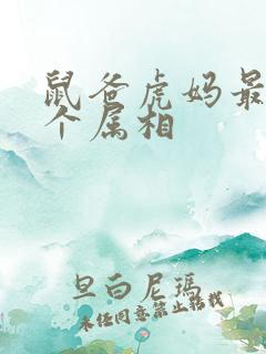 鼠爸虎妈最忌三个属相