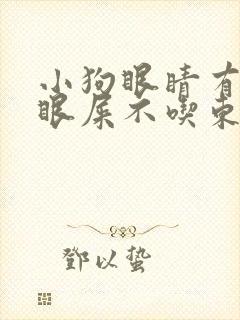 小狗眼睛有脓性眼屎不吃东西