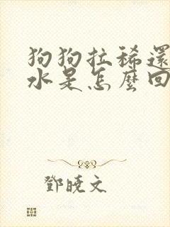 狗狗拉稀还吐黄水是怎么回事