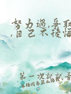 努力过,争取过,自己不后悔的说说