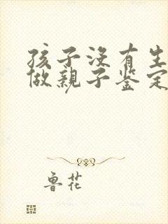 孩子没有生可以做亲子鉴定吗