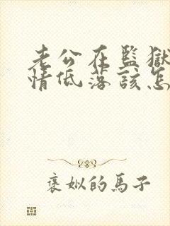 老公在监狱里心情低落该怎么安慰