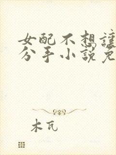 女配不想让主角分手小说免费阅读txt下载