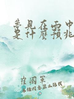 梦见在雨中奔跑是什么预兆