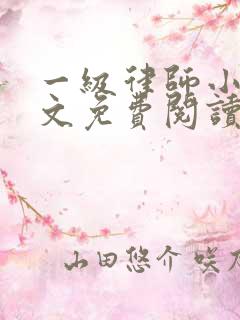 一级律师小说全文免费阅读