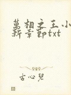 万相之王小说最新章节txt