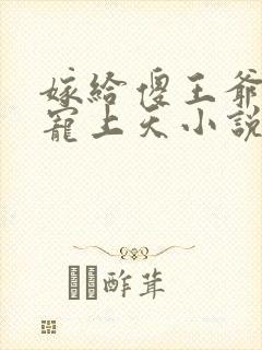 嫁给傻王爷后被宠上天小说阅读