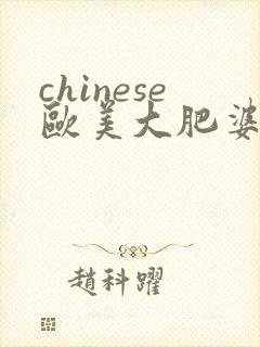 chinese欧美大肥婆视频