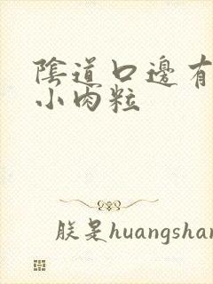 阴道口边有白色小肉粒