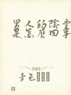 男人的阴囊潮湿是怎么回事儿