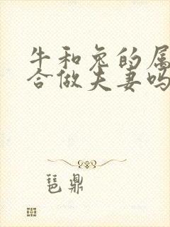 牛和兔的属相适合做夫妻吗