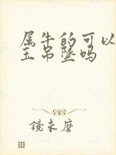 属牛的可以带龙玉吊坠吗