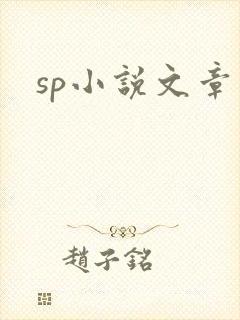 sp小说文章