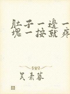 肚子一边一个硬块一按就疼是怎么回事