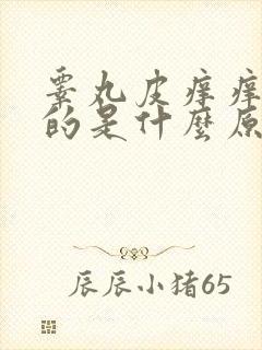 睾丸皮痒痒掉皮的是什么原因