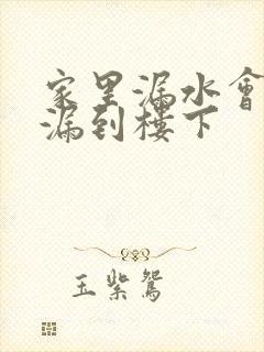 家里漏水会不会漏到楼下