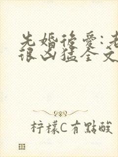 先婚后爱:老公很凶猛全文小说免费阅读全文