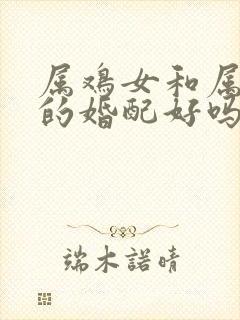 属鸡女和属鼠男的婚配好吗