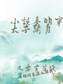 小说秦明穿越成太子关月