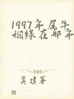 1997年属牛姻缘在哪年结婚