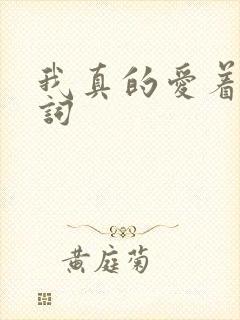 我真的爱着你歌词