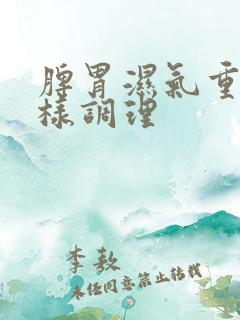 脾胃湿气重怎么样调理