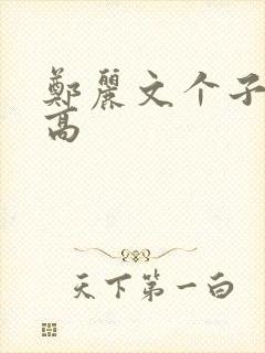 郑丽文个子有多高