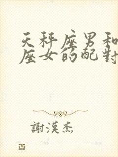 天秤座男和射手座女的配对指数是多少