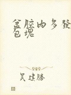 盆腔内多发囊性包块