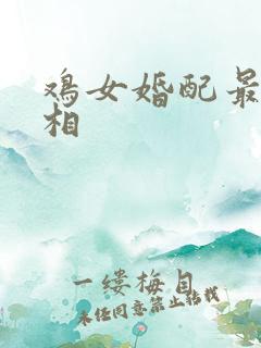 鸡女婚配最佳属相