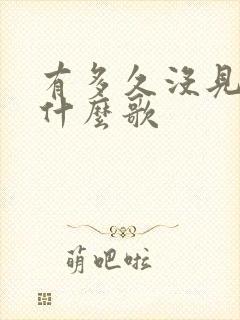 有多久没见你是什么歌