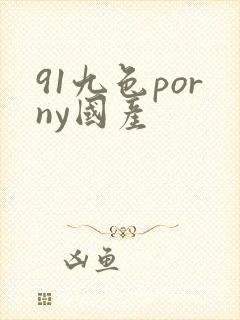 91九色porny国产