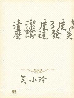 清洁度3度是什么阴道发炎