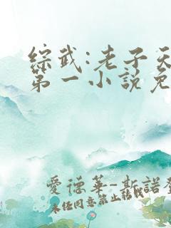 综武:老子天下第一小说免费阅读朱寿