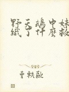 野天鹅中妹妹编织了什么救哥哥