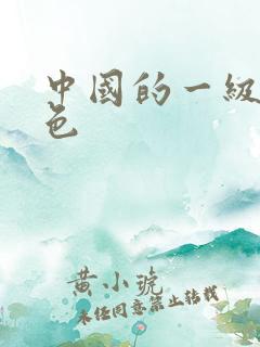 中国的一级片黄色