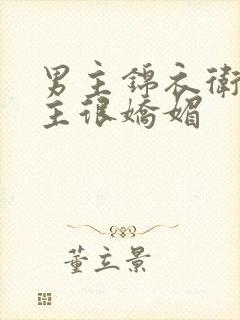 男主锦衣卫 女主很娇媚