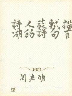 诗人苏轼描写西湖的诗句有哪些