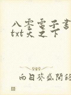 八零电子书下载txt天之下