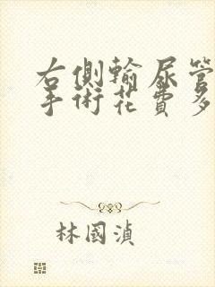 右侧输尿管结石手术花费多钱