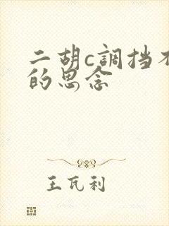 二胡c调挡不住的思念