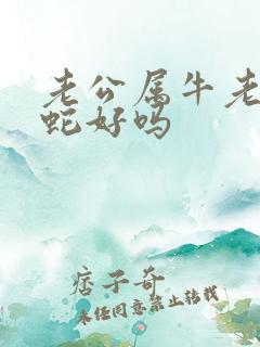 老公属牛老婆属蛇好吗