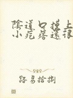 阴道口摸上去有小疙瘩还很痒怎么回事