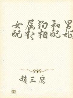 女属狗和男属兔配对相配姻缘好不