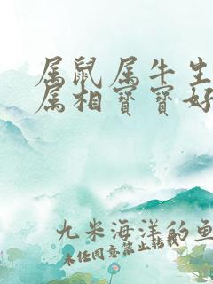 属鼠属牛生什么属相宝宝好