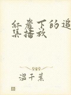 红岩下的追捕全集播放