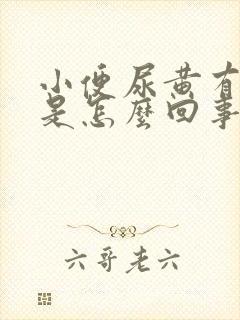 小便尿黄有异味是怎么回事