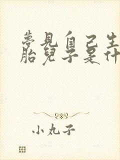 梦见自己生双胞胎儿子是什么预兆